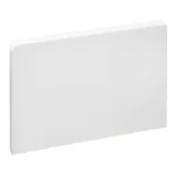 Schneider Electric Заглушка короба 185х55 мм ПВХ OL45 ISM10504P
